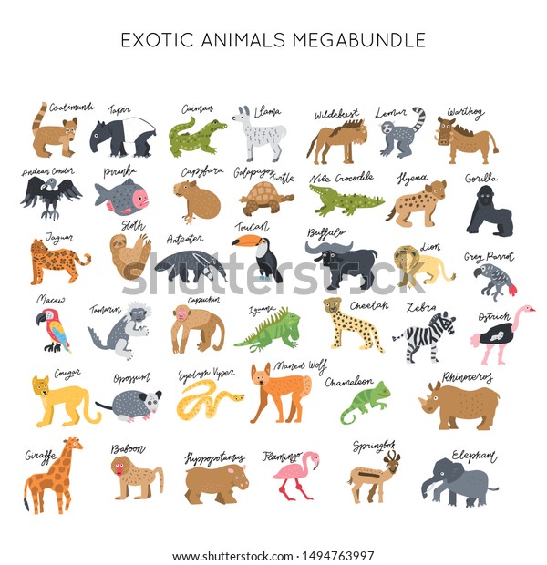 Exotic Animals Clipart Vector Illustrations Set Stock Vector (Royalty ...