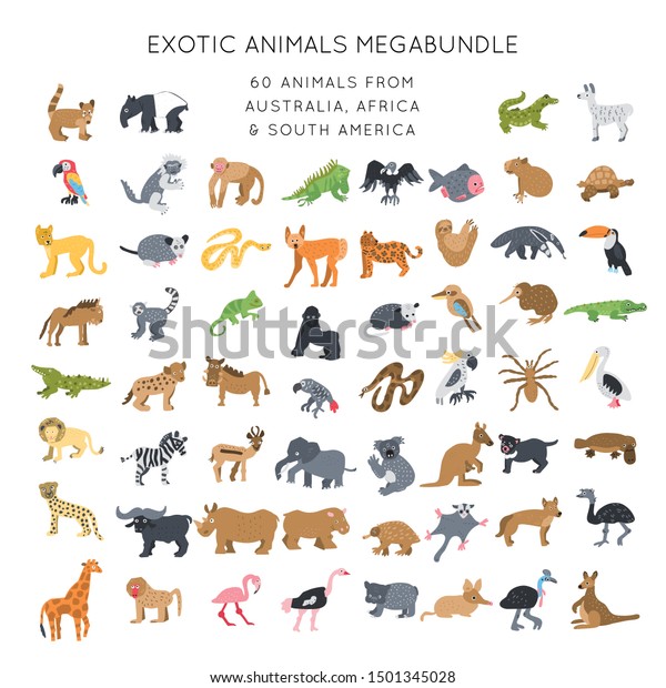 Exotic Animals Clipart Vector Illustrations Set Stock Vector (Royalty ...