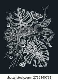 Animales exóticos dibujados a mano Ilustración vectorial en pizarra. Fondo tropical en estilo sketch. Diseño de cartel de hojas de palma. No se ha generado IA 
