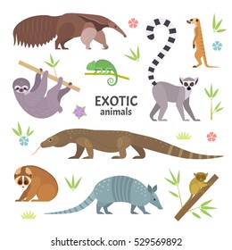 Exotic animals. Vector illustration with flat animals, including anteater, Ring-tailed lemur, lemur loris, sloth, Komodo monitor lizard, armadillo, meerkat, tarsier, isolated on white.