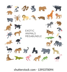 Exotic Animals vector illustrations clipart bundle. Kids design posters set. 
Wild mammal drawing in scandinavian style. Handwritten lettering. Exotic wildlife. 