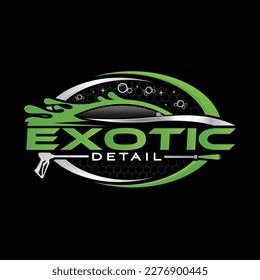 Exotic Auto detailing and car washing logo design template