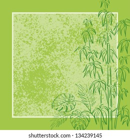 Exotic background, contour bamboo plants, frame and abstract grunge pattern. Vector