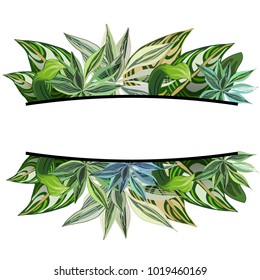 Exotic background with tropical leaves