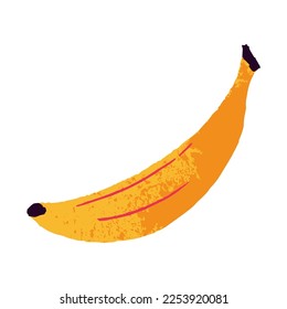 Banana exótica. Fruta madura entera en cáscara. Banan de piel amarilla. Alimentos saludables de vitamina, nutrición. Ilustración vectorial plana estilizada aislada en fondo blanco