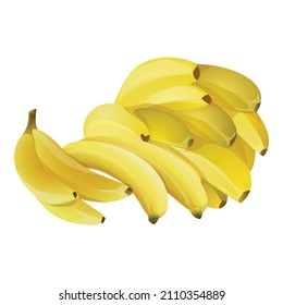 Vector de dibujos animados de plátanos exóticos. Fruta fresca. Alimentos exóticos