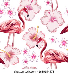 Exotic beautiful bird pink flamingo and tropical hibiscus, plumeria, frangipani flowers seamless vector pattern on white background. Beach creative wallpaper