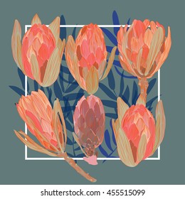 Exotic, beautiful, bright, rich, vector composition Protea. gentle summer air illustration
