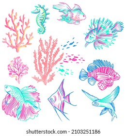 Exóticos y hermosos peces y corales. Un conjunto de ilustraciones de vector dibujadas a mano con tema subacuático