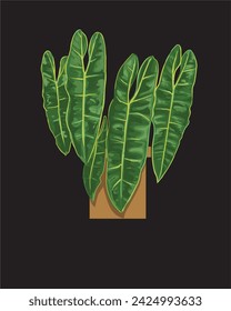 Exotic Beauty: Philodendron Billietiae Botanical Illustration

