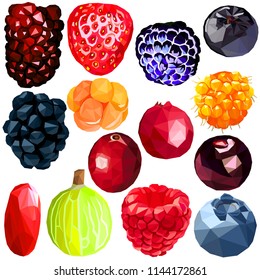 Exotic berries set colorful low poly designs isolated on white background. Vector edible food illustration. Collection of realistic tropical plants in modern style. Organic raw rare wild fruits. 