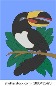 Exotic bird of black color with a red-yellow beak on a blue background sitting on a branch among green leaves