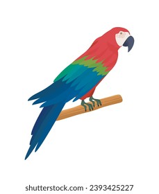 Exotic bird at branch concept. Animal with red, blue and green feather. Tropical fauna and wild life. Poster or banner for website. Cartoon flat vector illustration isolated on white background