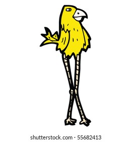 exotic bird cartoon