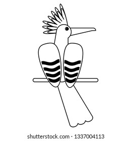 Exotic bird cartoon in black and white