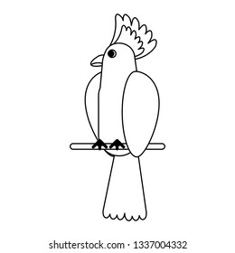 Exotic bird cartoon in black and white