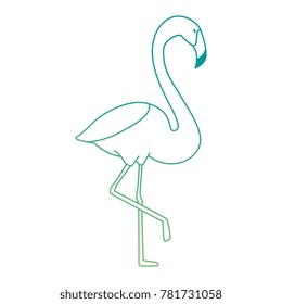 exotic bird flamingo icon