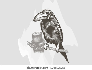 Exotic Bird hand drawn