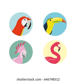 exotic bird heads set icon