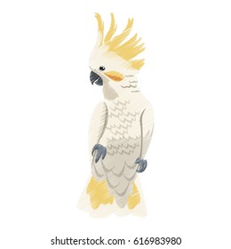 exotic bird icon image 