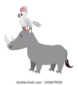 exotic bird on rhino wildlife cute animal cartoon isolated vector illustration graphic design