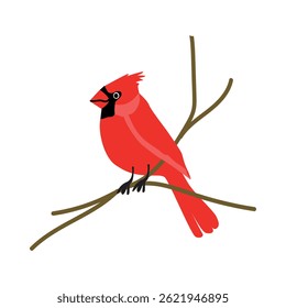 Exotic bird Red cardinal. Vector illustration