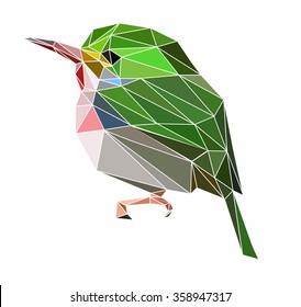 exotic bird set vector illustration low poly