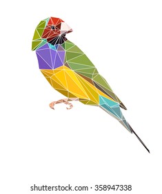 exotic bird set vector illustration low poly