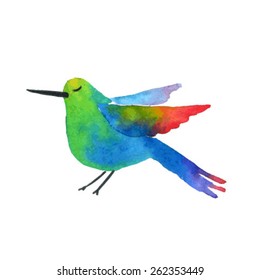 Exotic bird. Sketch of a hummingbird. Watercolor vector illustration