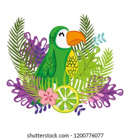 Exotic bird and summer