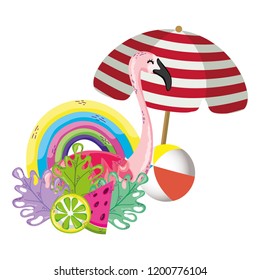 Exotic bird and summer