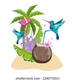 Exotic bird and summer