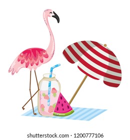 Exotic bird and summer