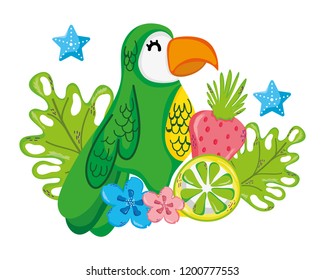 Exotic bird and summer
