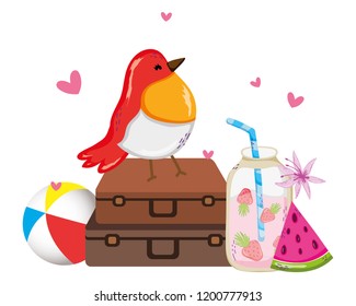 Exotic bird and summer