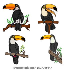 Exotic bird toucan. Hand drawn toucan on white background. Vector set of tropical birds isolated on white. Jungle tropical birds black color. Concept of wildlife and nature. Icon of exotic bird