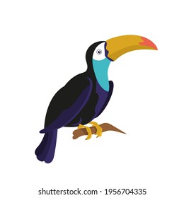 Exotic bird toucan. Isolated design element, cartoon-style illustration. Vector, EPS 10.