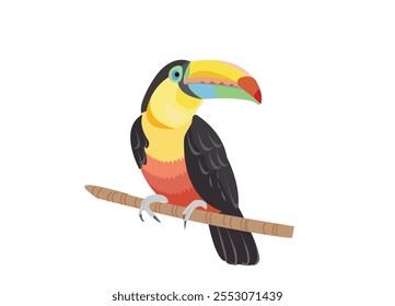 Pássaro exótico. Ilustração do vetor tucano.