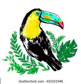 exotic bird vector illustration, cute bird, toucan vector illustration