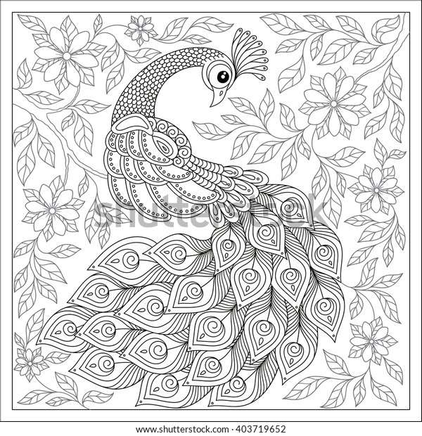 エキゾチックな鳥 幻想的な花 葉 白黒の落書き孔雀のビンテージ手描きの柄 大人と子ども向けの塗り絵本ページ 白黒の鳥のコレクション イラストのセット のベクター画像素材 ロイヤリティフリー