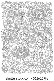 Exotic bird,fantastic flowers,branches, leaves.Contour thin line drawing.Vector fantasy stylized cockatoo jungle parrot silhouette.T-shirt print.Coloring book page for adults and children.Black White