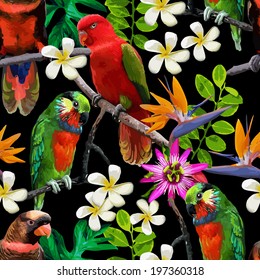 exotic birds and beautiful flowers