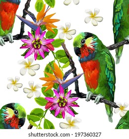 exotic birds and beautiful flowers
