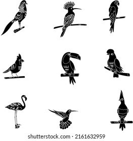 Exotic birds black and white flat vector icon collection