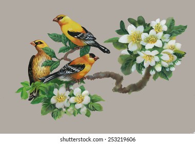 Exotic birds with flowers colorful pattern vector illustration