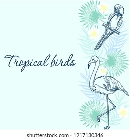 Exotic birds frame pattern. Tropical birds and leaves of tropical plants.