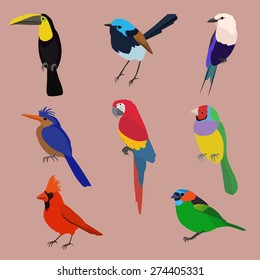 Exotic birds image design set for illustration, decoration and other design needs.