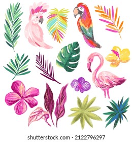 Exotic birds, leaves and flowers. A set of hand drawn vector illustration with tropical theme