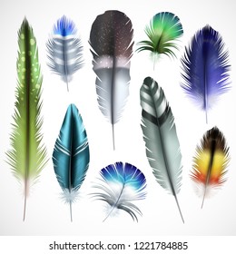 Exotic birds natural dyed spotted green purple shiny turquoise mix colored feathers realistic set isolated vector illustration
