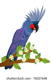 Exotic birds. A parrot sits on a tree branch with a blossoming flower.